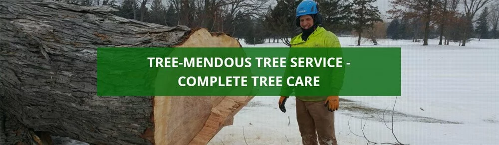 Brainerd Tree Services