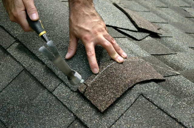 Where can I get the best roof repairing services in Sydney?