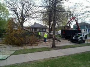 Tree Removal Brainerd