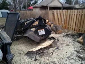 Stump Grinding MN